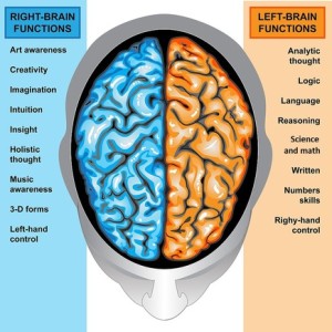 Rt vs Lt side of brain picture