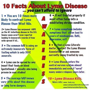 lyme disease d