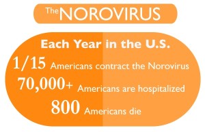 Norovirus_INFO