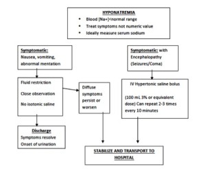 Hyponatremia1
