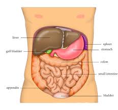 Liver Disease 2