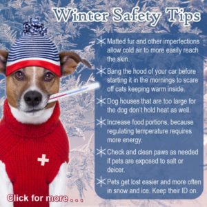 winter-safety-tips