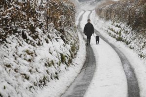 A woman walks her dog along a lane after a snowfall in Elham, south east England February 11, 2013. REUTERS/Luke MacGregor (BRITAIN - Tags: ENVIRONMENT SOCIETY ANIMALS)