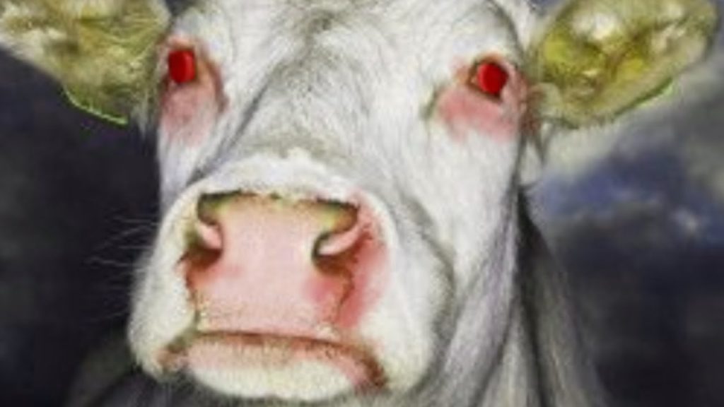 Part I MAD COW DISEASE=bovine spongiform encephalopathy (BSE) & in